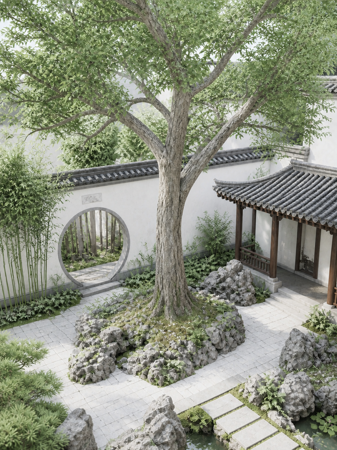 Serene courtyard tree